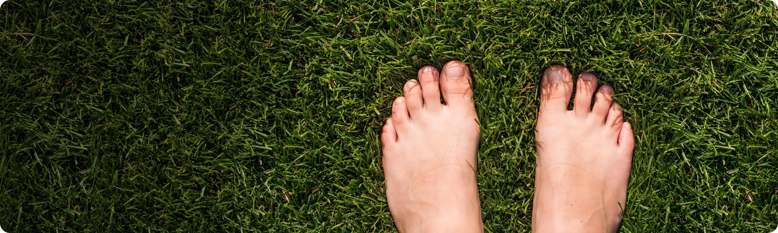 Podotherapie Bas Bartels - voeten in het gras beeld